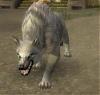 RuinWolf